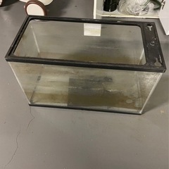 ★水槽アクアリウム卒業の為全てお譲り致しますの画像