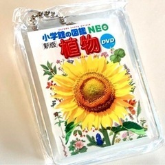 ※引き渡し予定者確定中　★まとめ売り★ 人気の図鑑や絵本、キーホルダー、アニメグッズなど　の画像