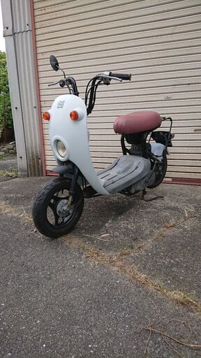 スズキ チョイノリ