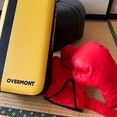 パンチングボール　キックミット・グローブセットの画像