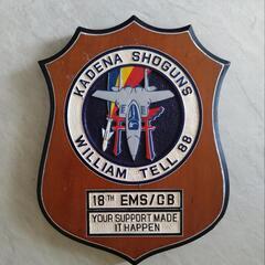 米軍放出品 希少 プラーク・アメリカ空軍 KADENA SHOG...