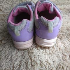 【21ｃｍ】スニーカー　ジュニア　ムーンスター　スーパースターの画像