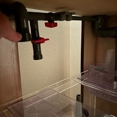 美品アクリルオーバーフロー水槽セット120×45×45の画像