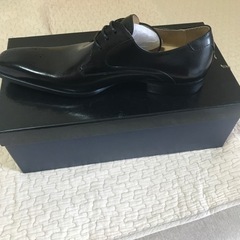 新品 メンズ サラバンド 靴
