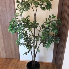 生活雑貨 家庭用品 ガーデニング