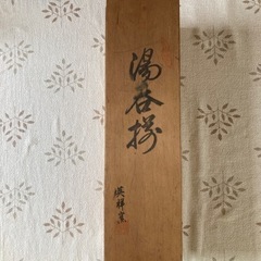 有田焼　かわいい色柄
