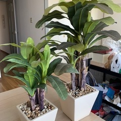 フェイクグリーン　光触媒の画像