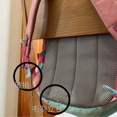 ウサハナ🌼リュックサックの画像