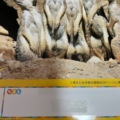 ひかりのくに　月刊絵本　こどもとしぜんの画像