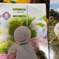 ひかりのくに　月刊絵本　こどもとしぜんの画像