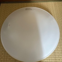 生活雑貨 食器 プレート