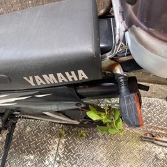 バイク ヤマハの画像
