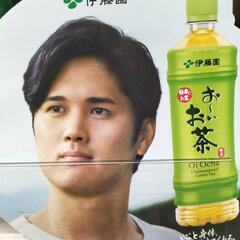 大谷翔平 クリアファイル☆新キャンペーン おーいお茶 伊藤園販促品/全2種類の3枚セット/未開封品の画像