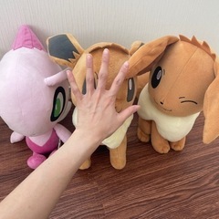 おもちゃ おもちゃ ぬいぐるみの画像