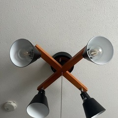 スポットライト、シーリングスポットライト