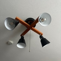 スポットライト、シーリングスポットライトの画像