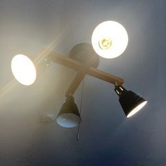 スポットライト、シーリングスポットライトの画像