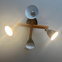 スポットライト、シーリングスポットライトの画像