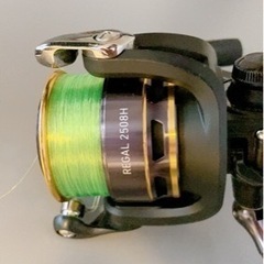 美品　ダイワ　リールREGAL2508Hの画像
