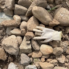 大きい石　差し上げますの画像