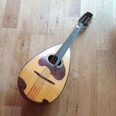 楽器 弦楽器、ギターの画像