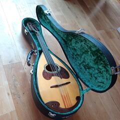 楽器 弦楽器、ギターの画像