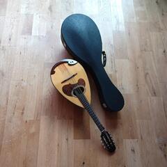 楽器 弦楽器、ギター