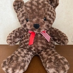クマ ぬいぐるみ