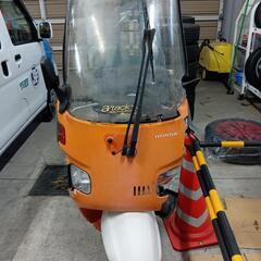 スポーツ マリンスポーツ
