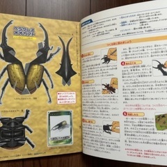 冊子　ペーパークラフト　昆虫　新品・未使用の画像