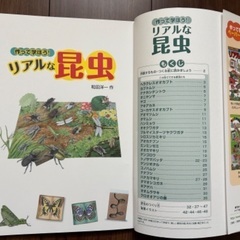 冊子　ペーパークラフト　昆虫　新品・未使用の画像