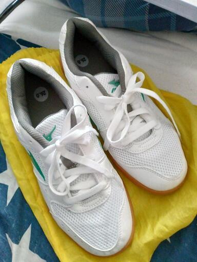 mizuno　体育館履き