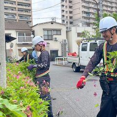 社宅あり！即日勤務かのう！草刈、枝切、草むしり、清掃作業の画像