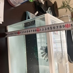 30センチ水槽の画像