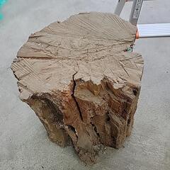 桜の木　薪　マキ　原木の画像