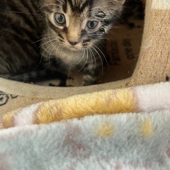 一時停止致します