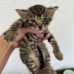 一旦停止します。