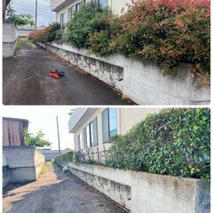 草刈り　伐採　剪定　抜根いたします！　街の便利屋さん - 安中市