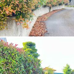 草刈り　伐採　剪定　抜根いたします！　街の便利屋さん − 群馬県