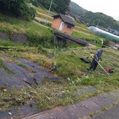 急募！「塩田 佐田原」で、畑作 (半面) を手伝ってくれませんか...