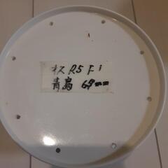 ヒラタクワガタの画像