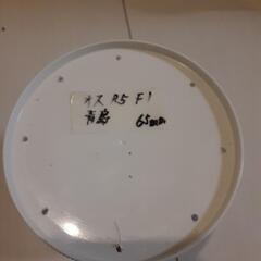 ヒラタクワガタの画像