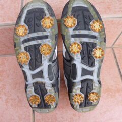 ★CORAGIO★ゴルフシューズ★25.5㎝★４E★の画像