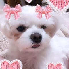 独身か既婚者で子なしの女友達募集中です✨👧💗👑イベントの主催もやっています🎶 - メンバー募集