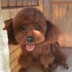 家族の一員になれました🥰