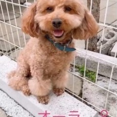 とても優しいご家族の一員になれました🥰　ありがとうございました😌