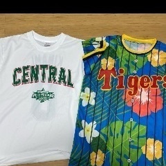 阪神タイガース木浪聖也Tシャツタオルシークレットグッズの画像