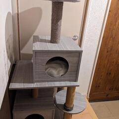 キャットタワー