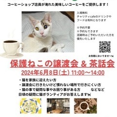 保護ねこの譲渡会&茶話会