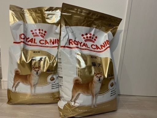 ロイヤルカナン　成犬　柴　8キロ×2袋